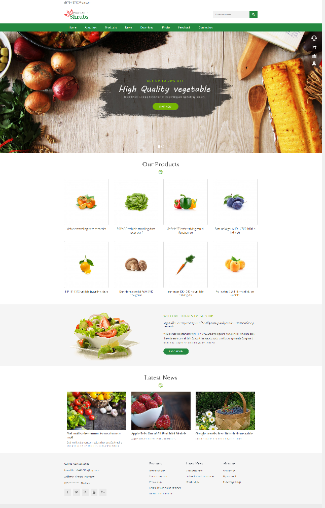 响应式外贸英文水果蔬菜网站模板